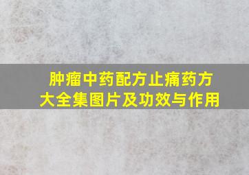 肿瘤中药配方止痛药方大全集图片及功效与作用