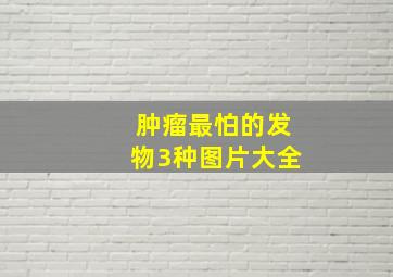 肿瘤最怕的发物3种图片大全