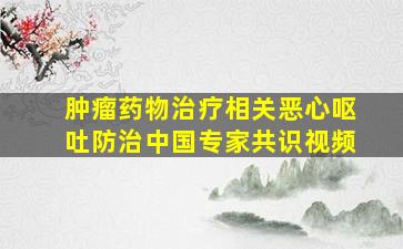 肿瘤药物治疗相关恶心呕吐防治中国专家共识视频