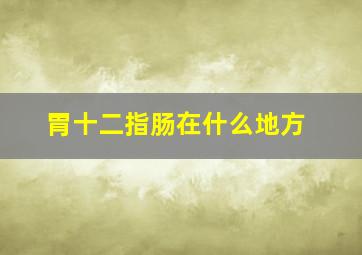 胃十二指肠在什么地方