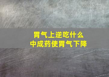 胃气上逆吃什么中成药使胃气下降