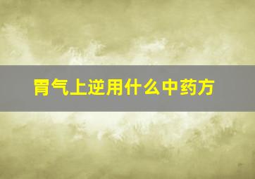 胃气上逆用什么中药方