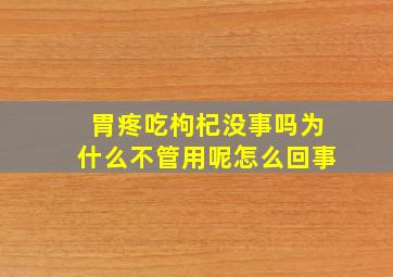 胃疼吃枸杞没事吗为什么不管用呢怎么回事