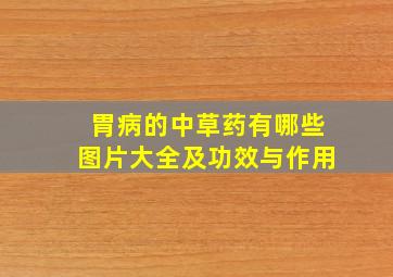 胃病的中草药有哪些图片大全及功效与作用