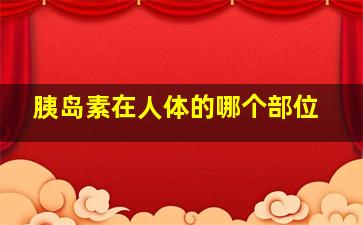 胰岛素在人体的哪个部位