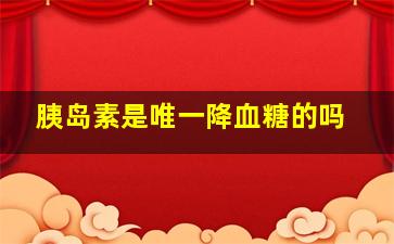 胰岛素是唯一降血糖的吗