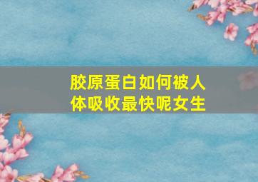 胶原蛋白如何被人体吸收最快呢女生