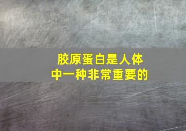 胶原蛋白是人体中一种非常重要的