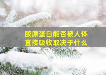 胶原蛋白能否被人体直接吸收取决于什么