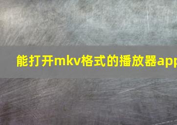 能打开mkv格式的播放器app