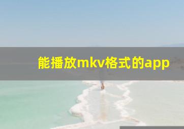 能播放mkv格式的app