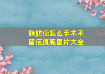 脂肪瘤怎么手术不留疤痕呢图片大全