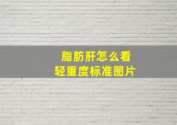 脂肪肝怎么看轻重度标准图片