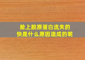 脸上胶原蛋白流失的快是什么原因造成的呢