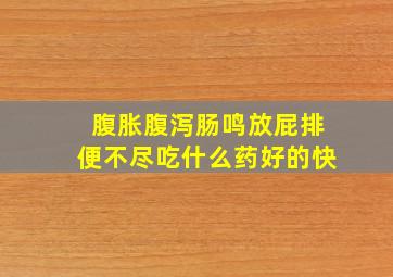 腹胀腹泻肠鸣放屁排便不尽吃什么药好的快