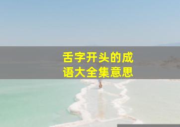 舌字开头的成语大全集意思