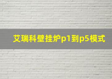 艾瑞科壁挂炉p1到p5模式