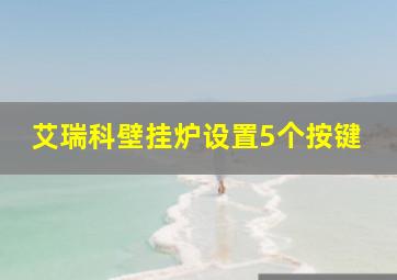 艾瑞科壁挂炉设置5个按键