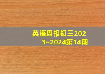 英语周报初三2023~2024第14期