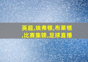 英超,埃弗顿,布莱顿,比赛集锦,足球直播