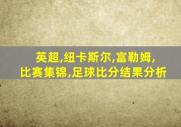 英超,纽卡斯尔,富勒姆,比赛集锦,足球比分结果分析