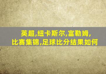 英超,纽卡斯尔,富勒姆,比赛集锦,足球比分结果如何