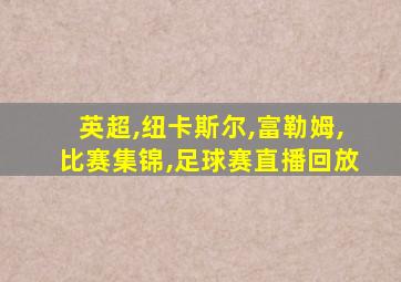 英超,纽卡斯尔,富勒姆,比赛集锦,足球赛直播回放