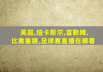 英超,纽卡斯尔,富勒姆,比赛集锦,足球赛直播在哪看