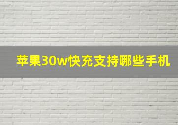 苹果30w快充支持哪些手机