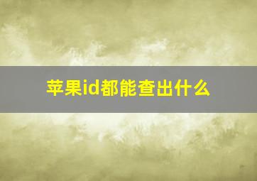 苹果id都能查出什么