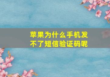 苹果为什么手机发不了短信验证码呢