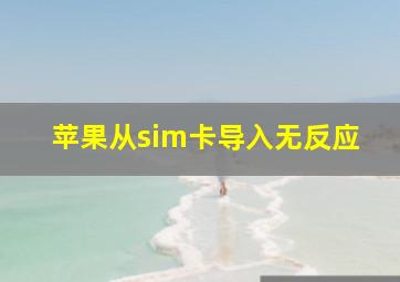 苹果从sim卡导入无反应