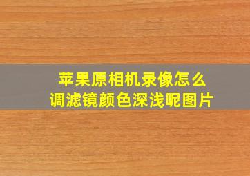 苹果原相机录像怎么调滤镜颜色深浅呢图片