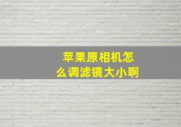 苹果原相机怎么调滤镜大小啊