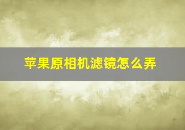 苹果原相机滤镜怎么弄