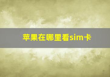 苹果在哪里看sim卡