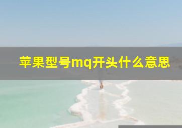 苹果型号mq开头什么意思