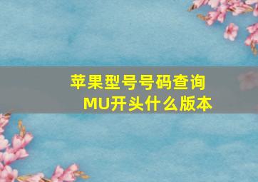 苹果型号号码查询MU开头什么版本