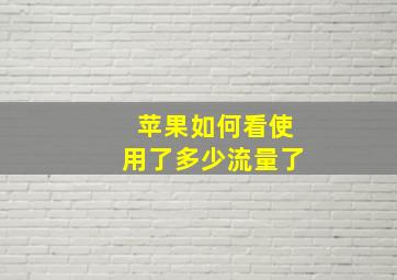 苹果如何看使用了多少流量了