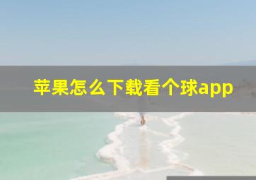 苹果怎么下载看个球app