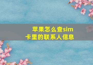 苹果怎么查sim卡里的联系人信息