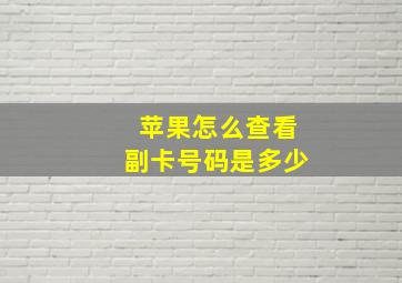 苹果怎么查看副卡号码是多少