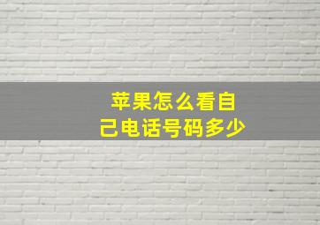 苹果怎么看自己电话号码多少