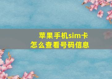 苹果手机sim卡怎么查看号码信息