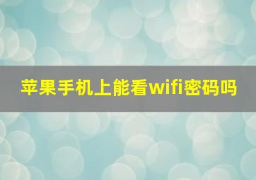 苹果手机上能看wifi密码吗