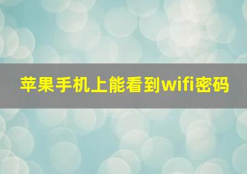 苹果手机上能看到wifi密码