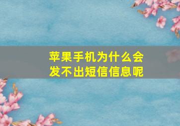 苹果手机为什么会发不出短信信息呢