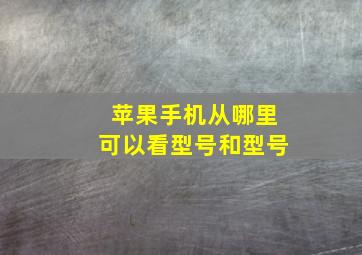 苹果手机从哪里可以看型号和型号