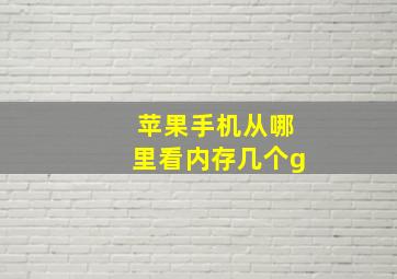 苹果手机从哪里看内存几个g