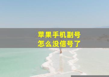 苹果手机副号怎么没信号了